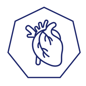 sistemaCardiocirculatorio sistemaCardiocirculatorio